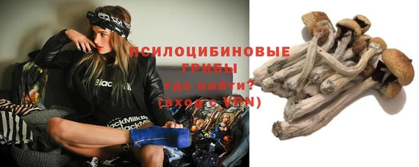 индика Верея
