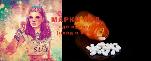 индика Верея