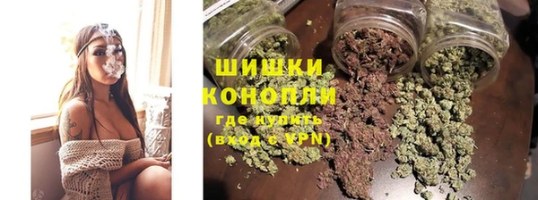 индика Верея