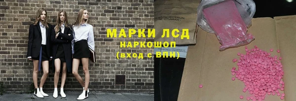 стаф Белокуриха